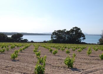 torrevieja-parque-natural-la-mata