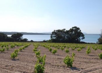 torrevieja-parque-natural-mayo-2020