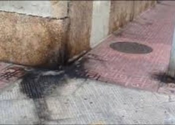 torrevieja-pipis-perros-calle-agosto-2019