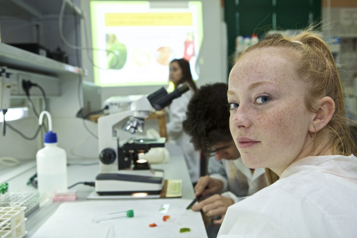 ua-practicas-junio-2019