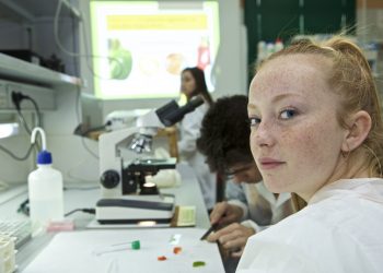 ua-practicas-junio-2019