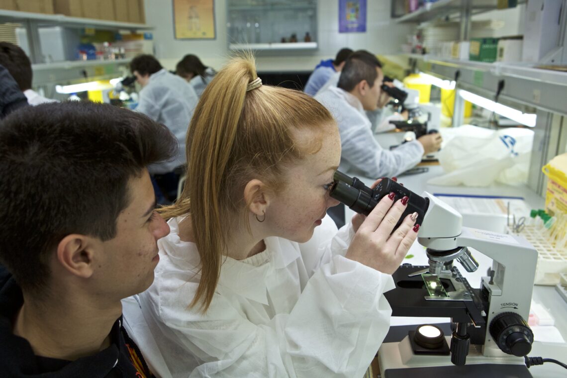 universidad-alicante-ven-hacer-practicas-alicante-4