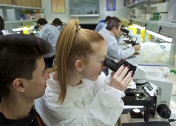 universidad-alicante-ven-hacer-practicas-alicante-4