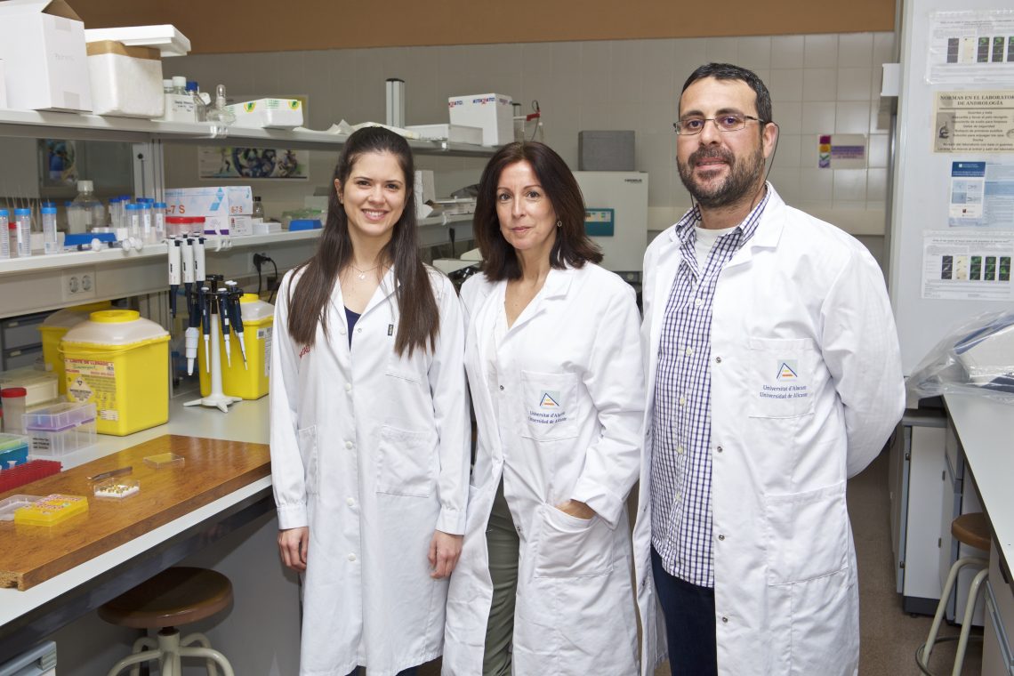 universidad-investigacion-pez-cebra-mayo-2019