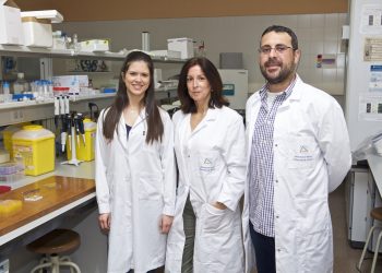 universidad-investigacion-pez-cebra-mayo-2019