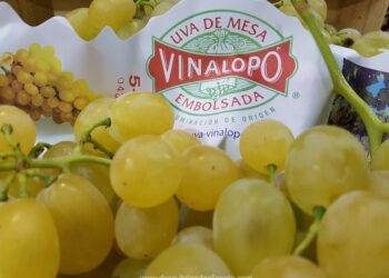 uvas-de-la-suerte-del-vinalopo-2