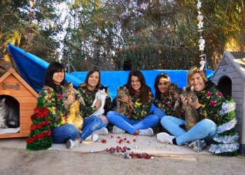 «Adoptar un animal abandonado es salvar su vida»