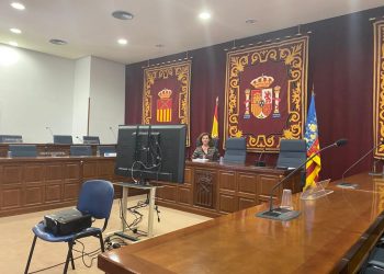 vega-baja-almoradi-pleno-telematico-mayo-2020