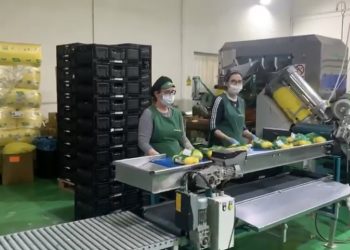 «Esta crisis es comparable a la que siguió a la II Guerra Mundial»