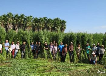 vega-baja-escuela-del-canamo-diciembre-2019