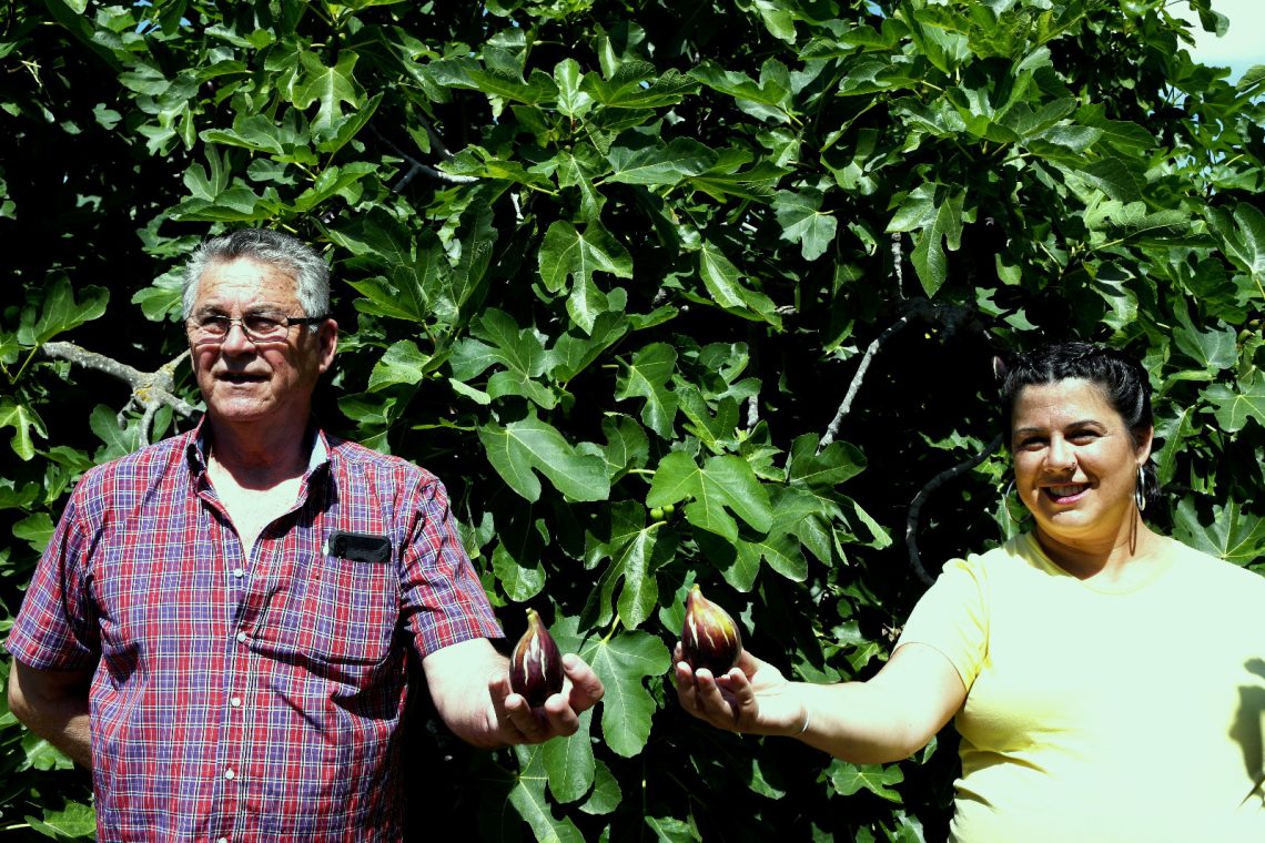 «Nuestra breva es un fruto gourmet»