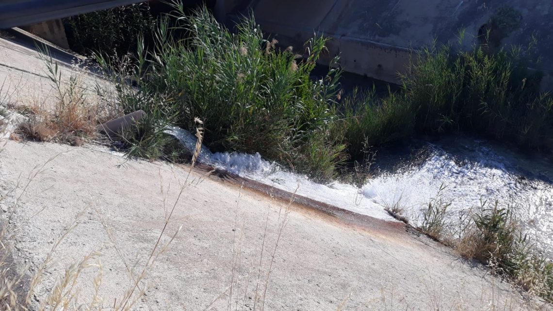 vega-baja-regantes-agua-agosto-2019