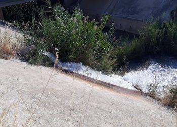 vega-baja-regantes-agua-agosto-2019