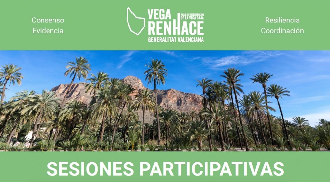 vega-baja-renhace-marzo-2020