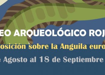 Una exposición descubre los misterios de la anguila europea y su relación con la huerta y los humedales de la Vega Baja