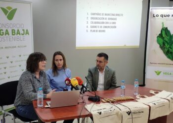 vega-baja-sostenible-reciclaje-enero-2019-1