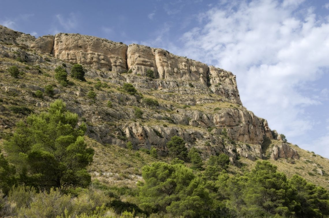 voluntariado-ambiental-julio-2019