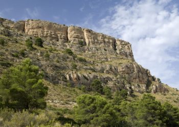 voluntariado-ambiental-julio-2019