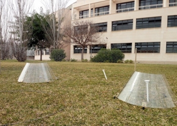 El campus de la UA, centro de estudio para evaluar el cambio climático en ecosistemas urbanos