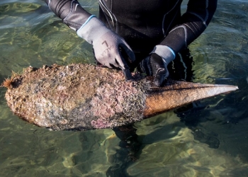 Continúa la lucha para salvar las últimas poblaciones de nacras existentes en la costa mediterránea