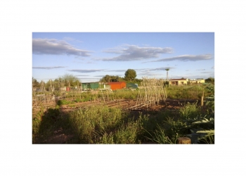 Ya puedes tener tu parcela en el Huerto ecológico municipal en Aspe