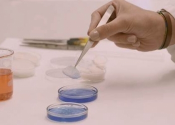 Investigadores del CSIC desarrollan un aerogel biodegradable con aplicaciones en el sector alimentario