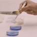 Investigadores del CSIC desarrollan un aerogel biodegradable con aplicaciones en el sector alimentario