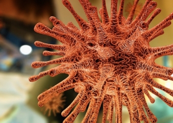 Científicos del CSIC colaboran en un sistema fotocatalítico para eliminar el SARS-CoV-2 del aire en interiores