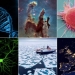 El CSIC lanza 14 desafíos para ampliar el conocimiento sobre la vida, la materia, el cerebro, las enfermedades, la sociedad, la energía y el clima