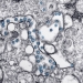 Investigadores del CSIC obtienen un nanomaterial que elimina el coronavirus y es aplicable en mascarillas y tejidos