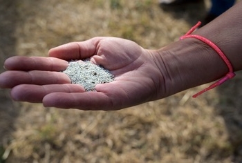Científicos del CSIC estudian reutilizar zeolitas usadas en la potabilización del agua como fertilizantes agrícolas