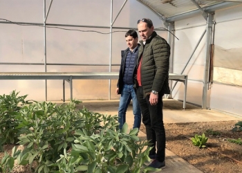 Diputación ayuda a los municipios a ejecutar sus Planes de Prevención de Incendios Forestales