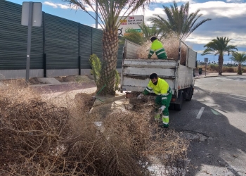 Tras la tempestad llega… la limpieza