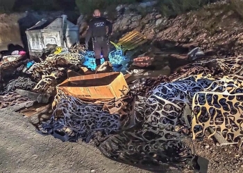 La Policía Local de Elche abre expediente sancionador a 173 infractores por vertidos incontrolados