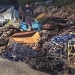 La Policía Local de Elche abre expediente sancionador a 173 infractores por vertidos incontrolados