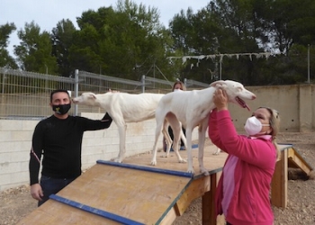 El Refugio de Animales se amplía con dos “Parques Can”
