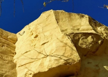 rocodromo-ayuntamiento-de-alicante-1