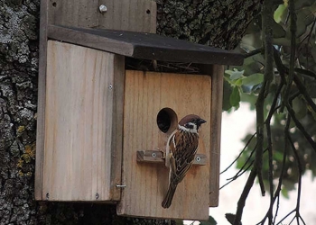 Acuerdo de colaboración entre el Ayuntamiento de Torrevieja y AGAMED