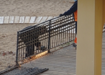 Torrevieja repone todos los bancos y papeleras de la plaza del embarcadero de la mata