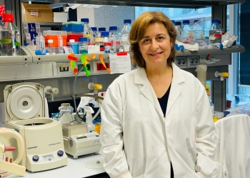 «Hay virus que son beneficiosos para nuestra salud»