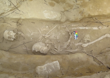 Los huesos arqueológicos alicantinos viajan a Alemania