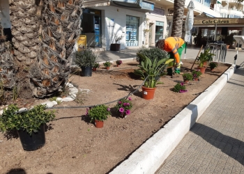 La Pública mejora los jardines para que Altea ofrezca “su mejor imagen”