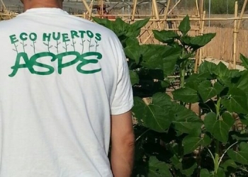 El Ayuntamiento de Aspe adjudica 16 parcelas del Huerto Ecologico Municipal