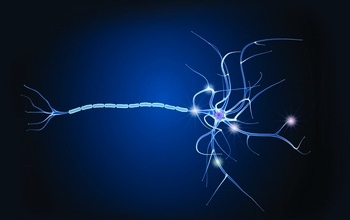Investigadoras del CSIC explican la evolución y los tratamientos de la esclerosis múltiple