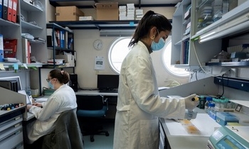 34 proyectos del CSIC obtienen financiación de las Acciones Marie Sklodowska-Curie