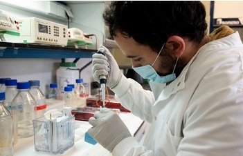 La Plataforma Salud Global del CSIC presenta los resultados de un año de investigación sobre el SARS-CoV-2