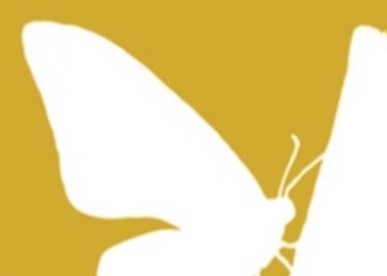 El espacio hernandiano reabre sus puertas con el objetivo de ser un referente para la literatura en Elche