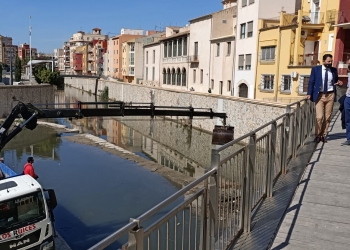 El Ayuntamiento limpia el cauce del río Segura en el tramo de Orihuela