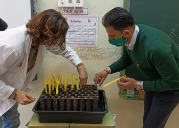 Continúa el programa ‘El futuro del Palmeral, en tus manos’