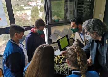 Nacen las primeras palmeras del programa ‘El futuro del Palmeral, en tus manos’